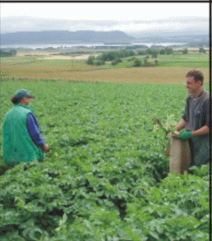 Agricultura dă în clocot