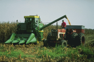 Producţia agricolă a României a fost de 15,5 miliarde euro, reprezentând 4% din UE