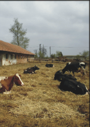 Circa trei milioane de ferme nu vor putea accesa fonduri europene