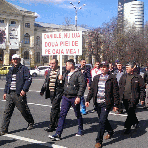 Întârzierea subvenţiilor a scos în stradă crescătorii de bovine şi ovine