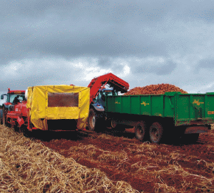 "Încurajăm companiile spaniole să facă investiţii în energia şi agricultura noastră"