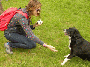 O bucureşteancă a lansat la Braşov un serviciu de plimbat câinii şi pet sitting