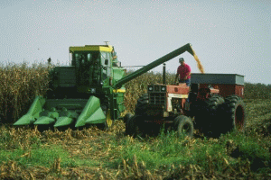 Peste 700 de milioane de lei pentru continuarea programului "Fermierul"