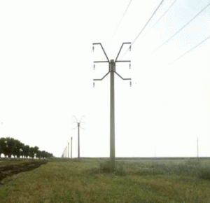 A fost finalizată privatizarea "Electrica Muntenia Sud"