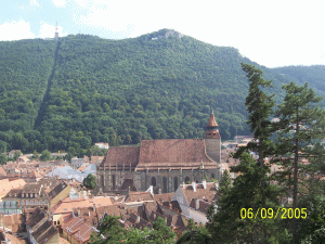 Romsilva: Ne-a crescut fondul forestier cu 100.000 de hectare