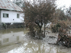 Mai multe localităţi din Prahova, afectate de inundaţii