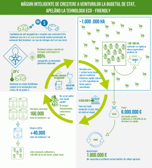 "Cultivarea unei suprafeţe de 10% din terenul viran cu rapiţă ar aduce venituri economiei"