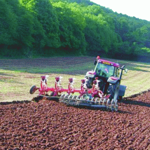 Uşor excedent în comerţul cu produse agroalimentare, la zece luni