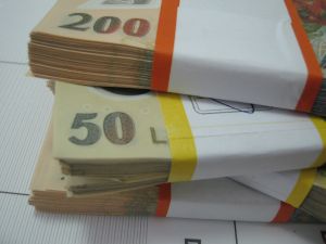 Peste 3.400 de români au cumpărat titluri de stat în două zile, triplu faţă de anul trecut