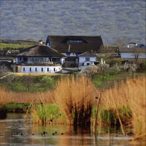 "Lumea începe să intre într-o nouă branşă, aceea a turismului rural"