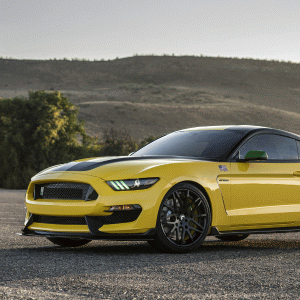 "Ford" închide temporar fabrica Mustang din Michigan