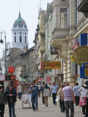 Autorităţile arădene cer Guvernului să renunţe la proiectul privind înfiinţarea polilor de dezvoltare urbană