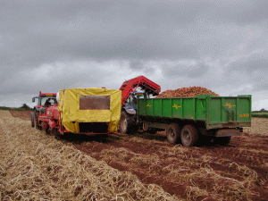 Guvernul a aprobat măsuri pentru asigurarea accesului la finanţare a producătorilor agricoli şi din piscicultură