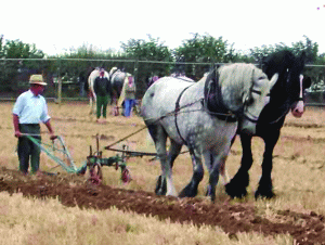 "Agricultura României are cel mai slab randament din Europa" 