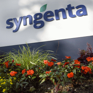 Acţionarii "Syngenta" au acceptat oferta de preluare primită de la "ChemChina"