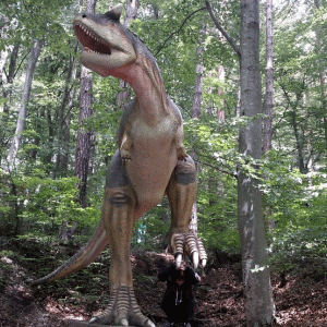 Dino Park Râşnov a avut încasări de 4 milioane de euro în doi ani