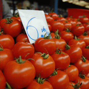 Peste 2.000 de fermieri au primit banii pentru tomatele româneşti