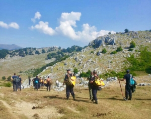 Forţe mobilizate pentru stingerea incendiului din Parcul Naţional Domogled (Sursa foto: Facebook/ IGSU)