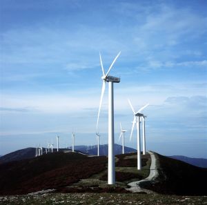 "Suntem ţara din UE cu cele mai mari costuri de echilibrare pentru producţia energiei eoliene"