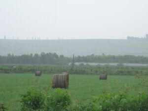 Renta viageră agricolă a fost modificată