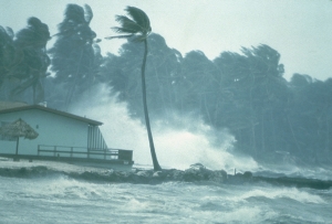 Cei trei români daţi dispăruţi în urma uraganului Irma au fost găsiţi