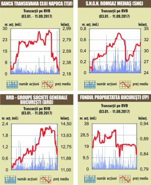 Piaţa, în creştere, pe fondul unor tranzacţii de peste 73 milioane de lei