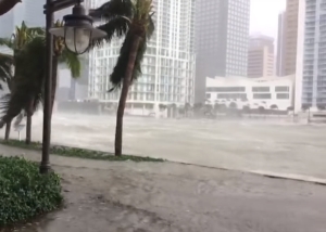 Alţi trei cetăţeni români au fost evacuaţi din insula Saint Martin, afectată de uraganul Irma