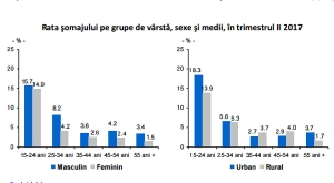  Rata şomajului în rândul tinerilor a ajuns la 15,4%