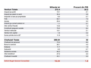  Proiectul de buget pe 2018 propus de PNL (Sursa foto: Facebook/ Florin Cîţu)