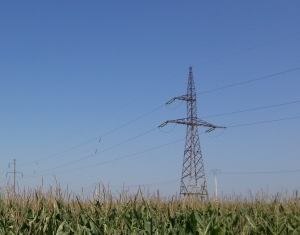 "E-Distribuţie" Dobrogea a investit 1,7 milioane lei pentru linii electrice de înaltă tensiune