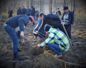 Acţiune de împădurire (Sursa foto: Facebook/Romsilva)