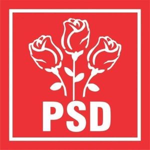 Şedinţa Comitetului Executiv Naţional al PSD s-a încheiat