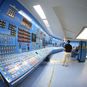 Nuclearelectrica estimează un profit net în scădere cu 3%, la 295,2 milioane lei