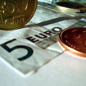 "Moneda euro - o eroare"