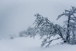 Şcolile vor fi închise mâine în judeţul Prahova din cauza vremii