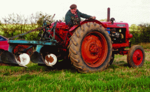 Problemele noastre din agricultură, pe masa Bruxelles-ului