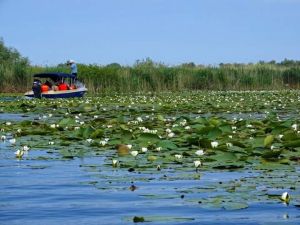 Delta Dunării, în atenţia SUA