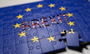 "Impactul Brexit va avea o amplitudine moderată"