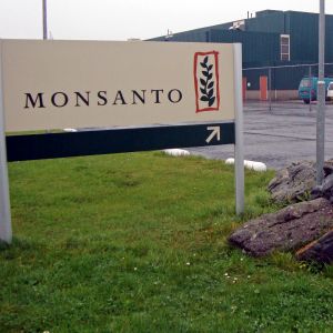 Numele "Monsanto" va dispărea de pe piaţă