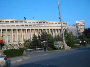 Statutul de utilitate publică Asociaţiei "Telefonul Copilului"