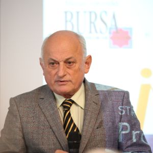 Mihai Ionescu, ANEIR