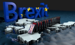 Preferăm Brexit fără acord decât "anexarea" Irlandei de UE