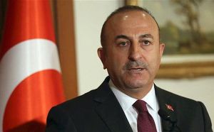 Mevlut Cavusoglu (sursa foto: Twitter)