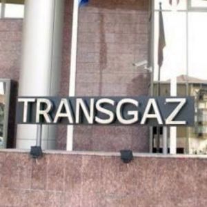 Transgaz a lansat licitaţia pentru gazoductul Leţcani-Oneşti