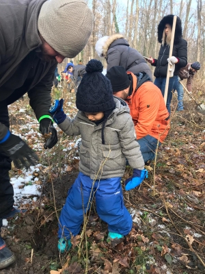 Pădurea Băneasa a fost împădurită de comunitatea Greenfield