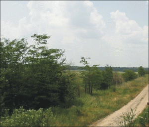 Land in Pipera - Tunari is 50% cheaper