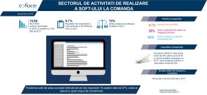 Sectorul de realizare a soft-ului la comandă a înregistrat o creştere de 2 cifre a veniturilor 