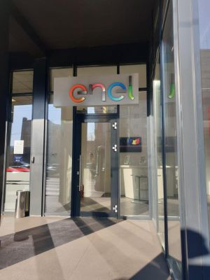 Directorul financiar al Enel a fost numit co-preşedinte al unui grup de lucru în cadrul ONU