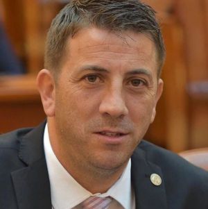 Nicolae Georgescu, Deputat PSD