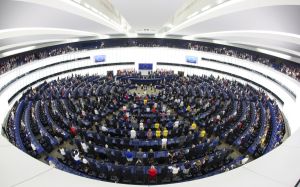 Parlamentul European denunţă ideea supremaţiei rasei albe